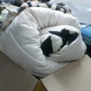 The # 명품크리닝 이미지