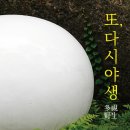 금강자연미술센터 Daum카페