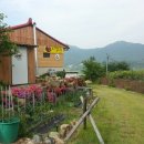 얼음골 봄 이미지