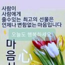마음심 이미지