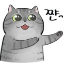 이모옷집 이미지
