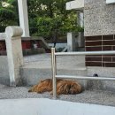 부산 강서구 맛집 [고귀관] , 가족외식 상견례 데이트 추천하는 품격있는 대저고기집