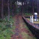 정실비식당 이미지