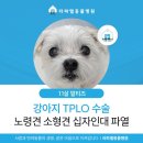 라파엘동물병원 이미지