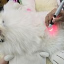 두암한방병원 이미지