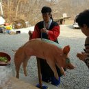 소정당
