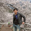 요리요리 이미지