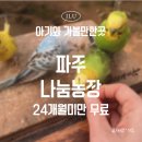 유일농장 | 파주 동물원 나눔농장 먹이주기 체험 후기