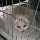 도도메디 이미지