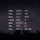 라틴어 예쁜단어 명언 모음 발음 레터링 각인 문구 추천