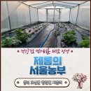 괴산야채 이미지