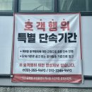 궁평항 대하축제 내돈내산 솔직후기 / 대하구이, 대하가격, 대하맛집
