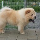 레드메인 이미지