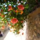 남평농장 이미지