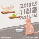 중방동 고양이의 기침을 의심하세요