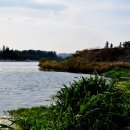 강이있는풍경 이미지