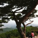 수원-이의-이의-07 이미지