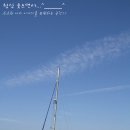 요트