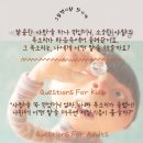 아이와 감정 나눔 시작하기, “그림책이랑 만나다 힐링카드” 독후활동 후기