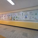 왕궁초등학교 이미지