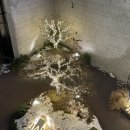 진건오남로 지하929 | 소파를 찾아서...🛋️ 자코모(JAKOMO) 가죽소파 아르떼 구매 완료🥰｜자코모 직영 플래그십 용인점 방문 후기