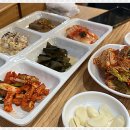 애견프라자 이미지