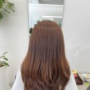 휴먼빌헤어 이미지