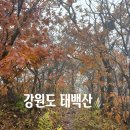 동천여행사 | 강원도 태백산 가을 단풍 산행 후기