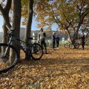 송백자전거도로 | 경산 삼성산~송백임도 단풍라이딩