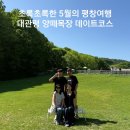 대관령5 | 초록의 5월 대관령 양떼목장 가격 & 주차 & 시간 정보 후기