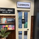 담뜰한의원 | 30대 직장인의 러쉬 스파 3종류 받아본 후기 (더굿아워, 더스펠, 리와일딩페이셜)