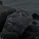 (개인)김보람 이미지