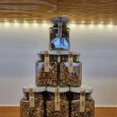 떡엔꽃차 | 가평 카페추천 [오롯이,꽃] 직접 재배한 유기농 꽃차와 꽃떡쌈 연못뷰 데이트 카페