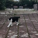 이치비민박 이미지