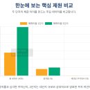 분당 야탑의 두 얼굴: 매화마을 1단지 vs 2단지, 리모델링과 재건축의 갈림길에서 미래를 묻다