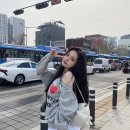 프리지아
