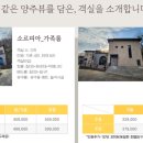 소르피아 양주 이미지