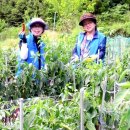 김종순농장 이미지