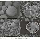 스킨미래 이미지