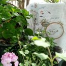 프랑스자수 이미지