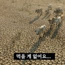 돈먹고 돈주기 이미지