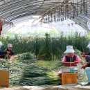 성림농원 이미지