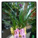 대전송강중학교 이미지