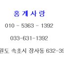 속초홍게 이미지