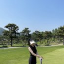 서원2 | 회사 반차내고 파주 서원힐스CC 2부 라운딩 후기