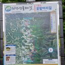 7월 11일(월) 치악산둘레길 1코스(꽃밭머리길)[출발확정] 이미지