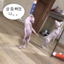 근 & 짐 이미지