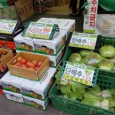 윈한양마트 네이버블로그