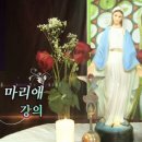 세나투스주 이미지