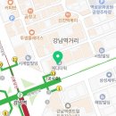 강남브이에스라인의원강남VS라인의원 이미지